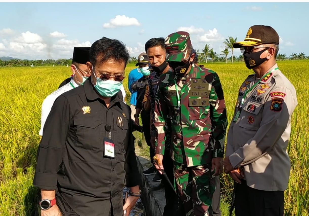 Menteri Pertanian Kucurkan Rp 13,9 Miliar Untuk Kembangkan Persawahan Di Bangka Selatan