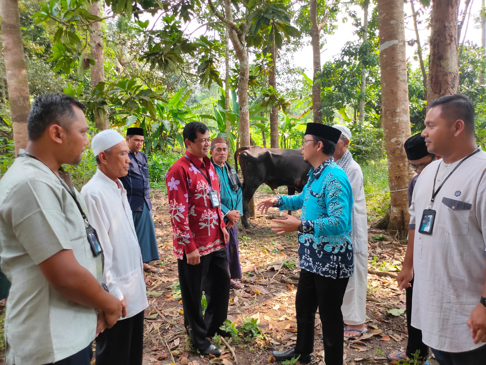Sambut Idul Adha, PT Angkasa Pura II Depati Amir Berikan Hewan Kurban Untuk Masyarakat