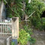 IMG_20230524_0152401684867994047